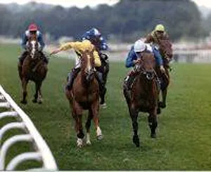 Rock Hopper right wins the Hardwicke Stakes beating Sapience (left Rock Hopper right wins the Hardwicke Stakes beating Sapience (left