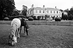 Rod Stewart's house in Windsor, Berkshire. 25th July 1975 Rod Stewart's house in Windsor, Berkshire. 25th July 1975