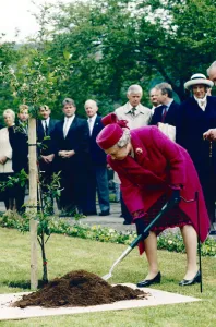 Royal visit, Queen Elizabeth II visiting Wales. Pictured planting a tree a in the village Royal visit, Queen Elizabeth II visiting Wales. Pictured planting a tree a in the village