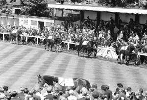 The runners in the 1971 Andy Capp Handicap in the parade ring before the the race at The runners in the 1971 Andy Capp Handicap in the parade ring before the the race at