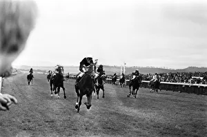 Runners and riders in the Daily Mirror Womens Race gallop the final furlongs to Runners and riders in the Daily Mirror Womens Race gallop the final furlongs to