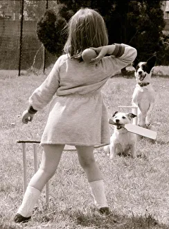 Russell the Jack Russell bats and Skinny bones is the wicket keeper Russell the Jack Russell bats and Skinny bones is the wicket keeper