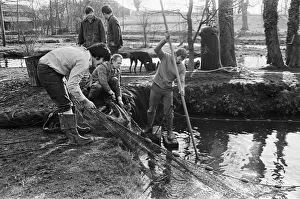 Sam Holland (centre) and trout famers breeding trout. 13th February 1976 Sam Holland (centre) and trout famers breeding trout. 13th February 1976