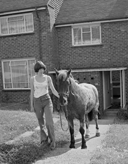 Sam the pet pony walking through his owners house to get through to his luxury stable at Sam the pet pony walking through his owners house to get through to his luxury stable at
