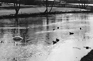 Scenes on the frozen River Cam in Cambridge during a cold winter spell. Circa 1975 Scenes on the frozen River Cam in Cambridge during a cold winter spell. Circa 1975