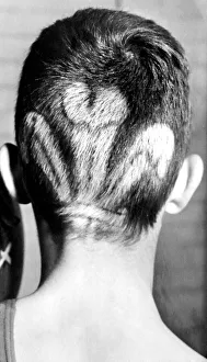 Schoolboy boxing champion Gavin Jacobs patriotic hairstyle knocked out his opponents Schoolboy boxing champion Gavin Jacobs patriotic hairstyle knocked out his opponents