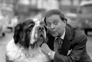 Shane the St. Bernard dog with Derek Roy, Britains biggest dog goes into showbiz Shane the St. Bernard dog with Derek Roy, Britains biggest dog goes into showbiz