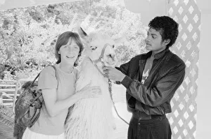 Singer Michael Jackson introduces his pet llama to Daily Mirror competition winner Susan Singer Michael Jackson introduces his pet llama to Daily Mirror competition winner Susan