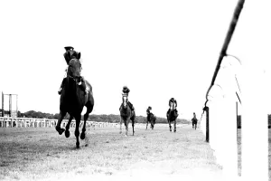Singletta, with jockey Walter Swinburn virtually a passenger Singletta, with jockey Walter Swinburn virtually a passenger