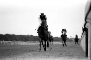 Singletta, with jockey Walter Swinburn virtually a passenger Singletta, with jockey Walter Swinburn virtually a passenger