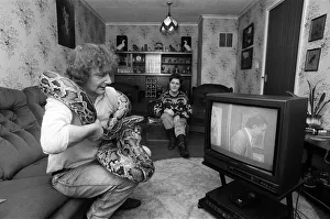 When snake lover Tony Griffiths settles down to watch TV with Monty, his pet python When snake lover Tony Griffiths settles down to watch TV with Monty, his pet python