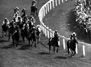 Snow Knight leading the pack and goes on to win The Derby followed by Imperial Prince Snow Knight leading the pack and goes on to win The Derby followed by Imperial Prince