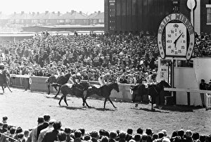 Song of the Sea ridden by Willie Carson crossing the line to win the 1971 Andy Capp Song of the Sea ridden by Willie Carson crossing the line to win the 1971 Andy Capp