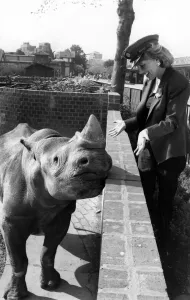 Spitting Mad Over Esther's April Drool: As Esther Rantzen will tell you Spitting Mad Over Esther's April Drool: As Esther Rantzen will tell you