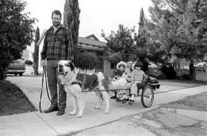 St. Bernards dog cart. January 1975 75-00282-001 St. Bernards dog cart. January 1975 75-00282-001