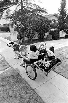 St. Bernards dog cart. January 1975 75-00282-002 St. Bernards dog cart. January 1975 75-00282-002