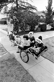 St. Bernards dog cart. January 1975 75-00282 St. Bernards dog cart. January 1975 75-00282