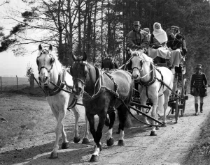 Stagecoach service to stonehenge - see handout Tourists to stonehenge this summer will be Stagecoach service to stonehenge - see handout Tourists to stonehenge this summer will be