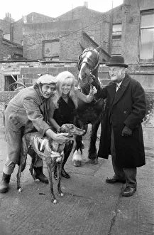 Steptoe and Son photocall to announce that a second feature film of the successful comedy Steptoe and Son photocall to announce that a second feature film of the successful comedy