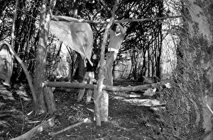 Students build cabin. February 1975 75-00876 Students build cabin. February 1975 75-00876