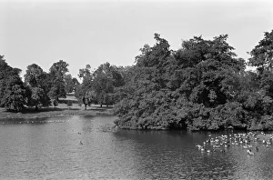 Studley Royal Park, Ripon, North Yorkshire. September 1971 Studley Royal Park, Ripon, North Yorkshire. September 1971