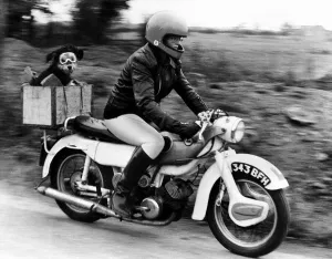 Sue Maddock 21 and her dog Moth who she transports around in the pillion box on her Sue Maddock 21 and her dog Moth who she transports around in the pillion box on her