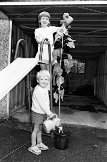 A tall story, Green-fingered Beaumont Park youngsters Paul A tall story, Green-fingered Beaumont Park youngsters Paul