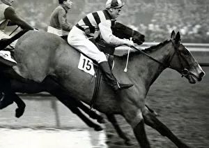 Tim Brookshaw in action at Manchester November 1958 Tim Brookshaw in action at Manchester November 1958