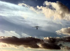 Tim Guest takes to the skies in a micro-light which he has just got a grant to develop a Tim Guest takes to the skies in a micro-light which he has just got a grant to develop a