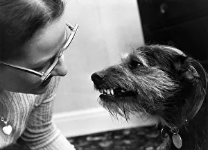 Tipsy may look as if he is simply baring his teeth. In fact he's saying " Tipsy may look as if he is simply baring his teeth. In fact he's saying "