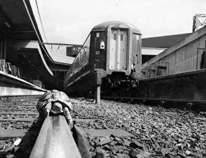 The ton-up tortoise. Macwattie became the fastest tortoise in Britain on Monday (6-5-74 The ton-up tortoise. Macwattie became the fastest tortoise in Britain on Monday (6-5-74