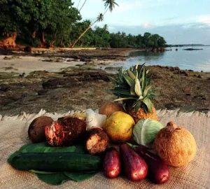 Traditional Samoan Food for a healthier diet Jan 1999 consisting of Traditional Samoan Food for a healthier diet Jan 1999 consisting of