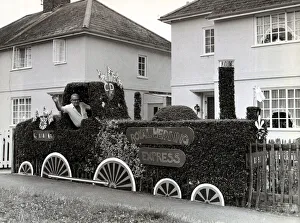 A Tribute to the Royal Wedding - July 1981 Royal Wedding tribute privet hedge A Tribute to the Royal Wedding - July 1981 Royal Wedding tribute privet hedge