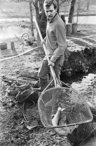 Trout farmer breeding trout. 13th February 1976 Trout farmer breeding trout. 13th February 1976