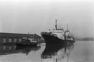 The tug Castle guides the stern trawler Boston Lincoln into a misty St Andrews Dock The tug Castle guides the stern trawler Boston Lincoln into a misty St Andrews Dock