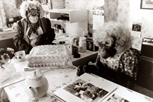 TV Chimps, Ada and Dolly - October 1984 who feature in many Brooke Bond TV TV Chimps, Ada and Dolly - October 1984 who feature in many Brooke Bond TV