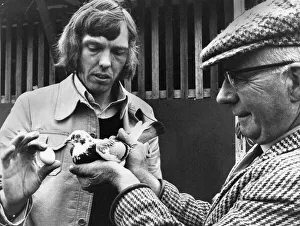 Unisex pigeon at Kings Lynn with its owner Anthony Batterby and Len Rush Unisex pigeon at Kings Lynn with its owner Anthony Batterby and Len Rush