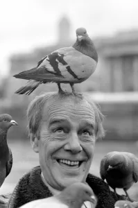 Unusual/Humour/Animals/Birds: Max Wall. Man with pigeons on head Unusual/Humour/Animals/Birds: Max Wall. Man with pigeons on head