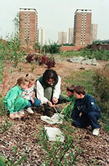 Urban Nature Reserve, Everton, Merseyside, 16th September 1994 Urban Nature Reserve, Everton, Merseyside, 16th September 1994