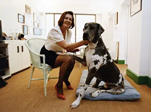 Verity Lambert TV Producer who took over the production of doomed BBC TV soap opera Verity Lambert TV Producer who took over the production of doomed BBC TV soap opera