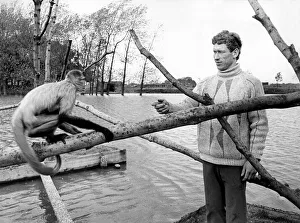 Warden John Howard with one of the baboons at Lambton Pleasure Park in June 1975 Warden John Howard with one of the baboons at Lambton Pleasure Park in June 1975