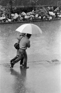 Wet weather at the Wimbledon Championships. 28th June 1982 Wet weather at the Wimbledon Championships. 28th June 1982