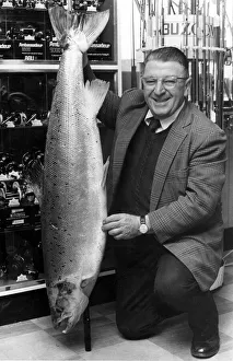 What a whopper! This 36 and a half pound salmon was landed on the river Wye by Coventry What a whopper! This 36 and a half pound salmon was landed on the river Wye by Coventry