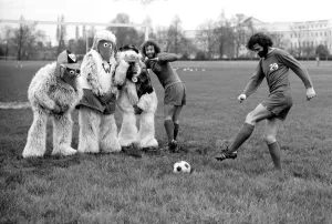 Wimbledon Wombles. January 1975 75-00394-005 Wimbledon Wombles. January 1975 75-00394-005