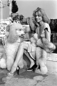 Woman and dog. Suzanna Leigh at todays photo session with her poodle Natashia Woman and dog. Suzanna Leigh at todays photo session with her poodle Natashia