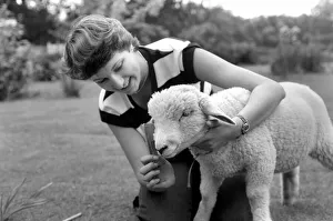 Woman feeding and grooming Larry the lamb. June 1980 Woman feeding and grooming Larry the lamb. June 1980