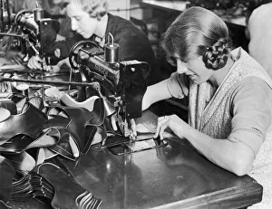 A woman machinist seen here of the factory floor of J Searsy of Northampton sewing uppers A woman machinist seen here of the factory floor of J Searsy of Northampton sewing uppers