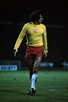 World Cup Qualifier at Wembley Stadium England 1 v Poland 1 Polish goalkeeper World Cup Qualifier at Wembley Stadium England 1 v Poland 1 Polish goalkeeper