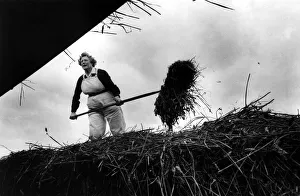World War Two - Second World War - Former Land Army and Timber Girls World War Two - Second World War - Former Land Army and Timber Girls