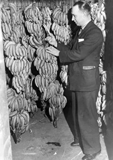 Yes we have some bananas - but they must be cared for. Mr. N Yes we have some bananas - but they must be cared for. Mr. N